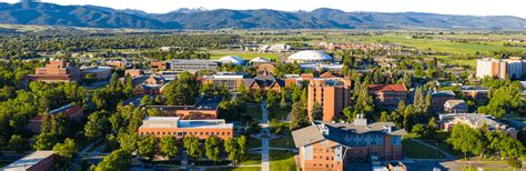 msu bozeman my info.